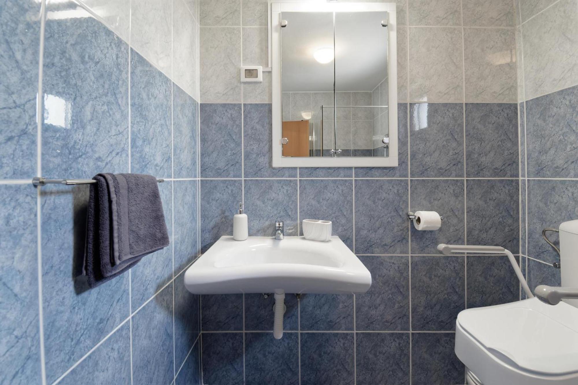 Apartment Larissa By Rent Istria Višnjan Eksteriør billede